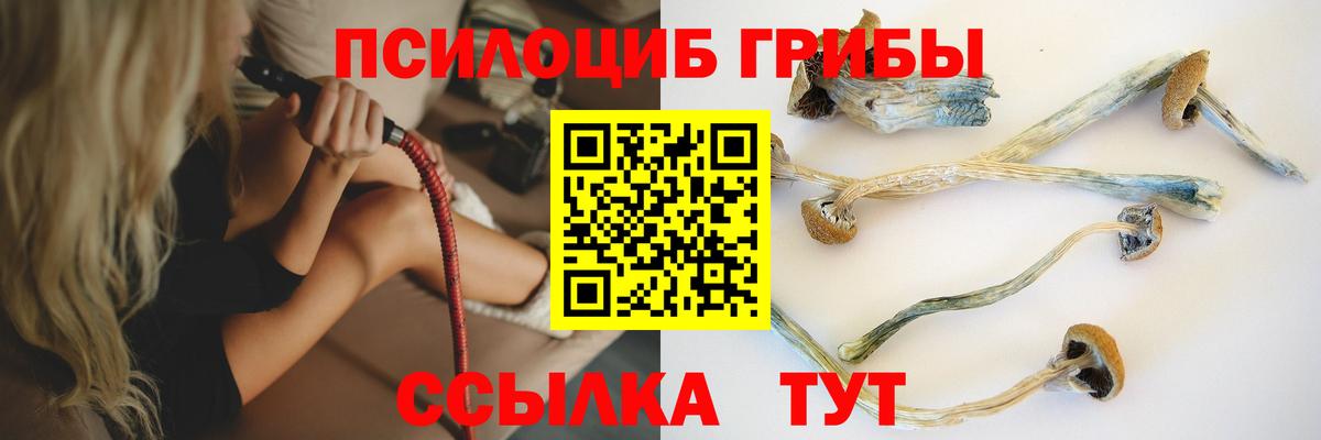 Псилоцибиновые грибы Psilocybine cubensis  Вход с VPN  Курск 